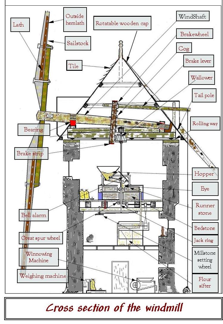 Cross section of the windmill of craca 2018