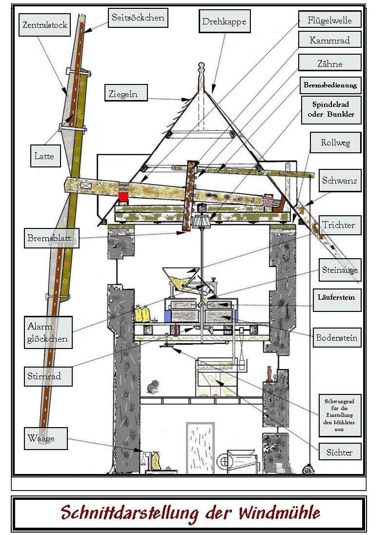 Schnittdarstellung der windmuhle craca 2018